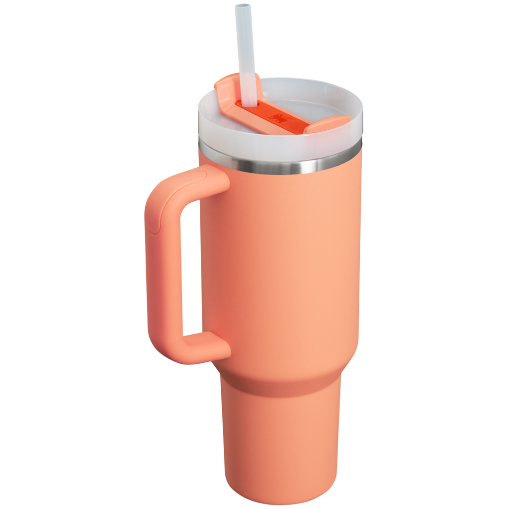 Insulated Travel The Quencher H2.0 Flowstate Tumbler D050X - Premium Stainless Steel Straw Cup for All-Day Hydration Detail
