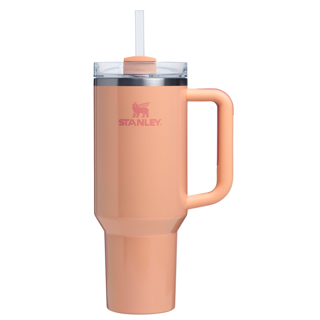 Insulated Travel The Quencher H2.0 Flowstate Tumbler D050X - Premium Stainless Steel Straw Cup for All-Day Hydration Detail