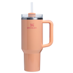 Insulated Travel The Quencher H2.0 Flowstate Tumbler D050X - Premium Stainless Steel Straw Cup for All-Day Hydration Detail