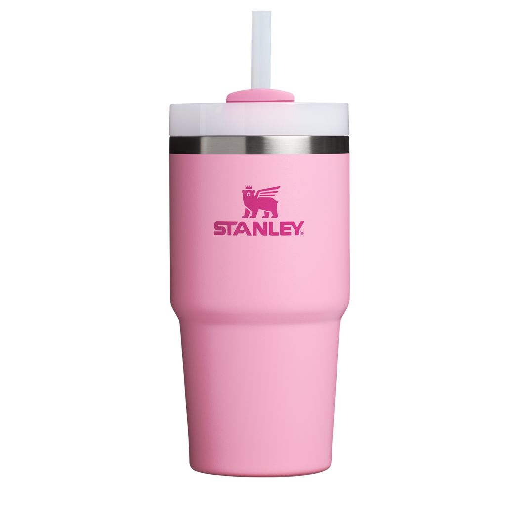 Splash-Resistant FlowState The Quencher H2.0 Flowstate Tumbler D030T - Premium Stainless Steel Straw Cup for All-Day Hydration - Ash