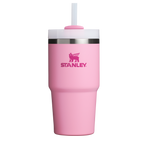 Splash-Resistant FlowState The Quencher H2.0 Flowstate Tumbler D030T - Premium Stainless Steel Straw Cup for All-Day Hydration - Ash