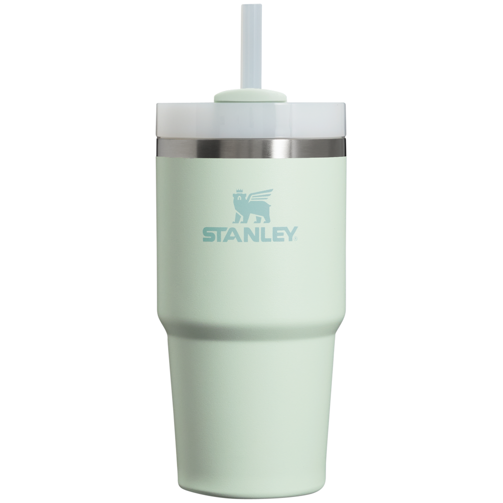 Splash-Resistant FlowState The Quencher H2.0 Flowstate Tumbler D030T - Premium Stainless Steel Straw Cup for All-Day Hydration - Mist